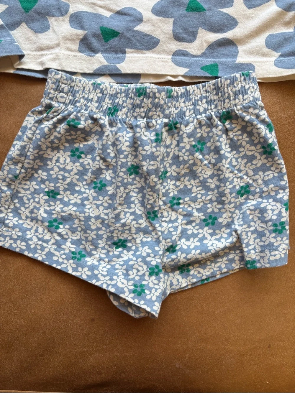 Hanna Andersson Floral T-Shirt and Shorts Set